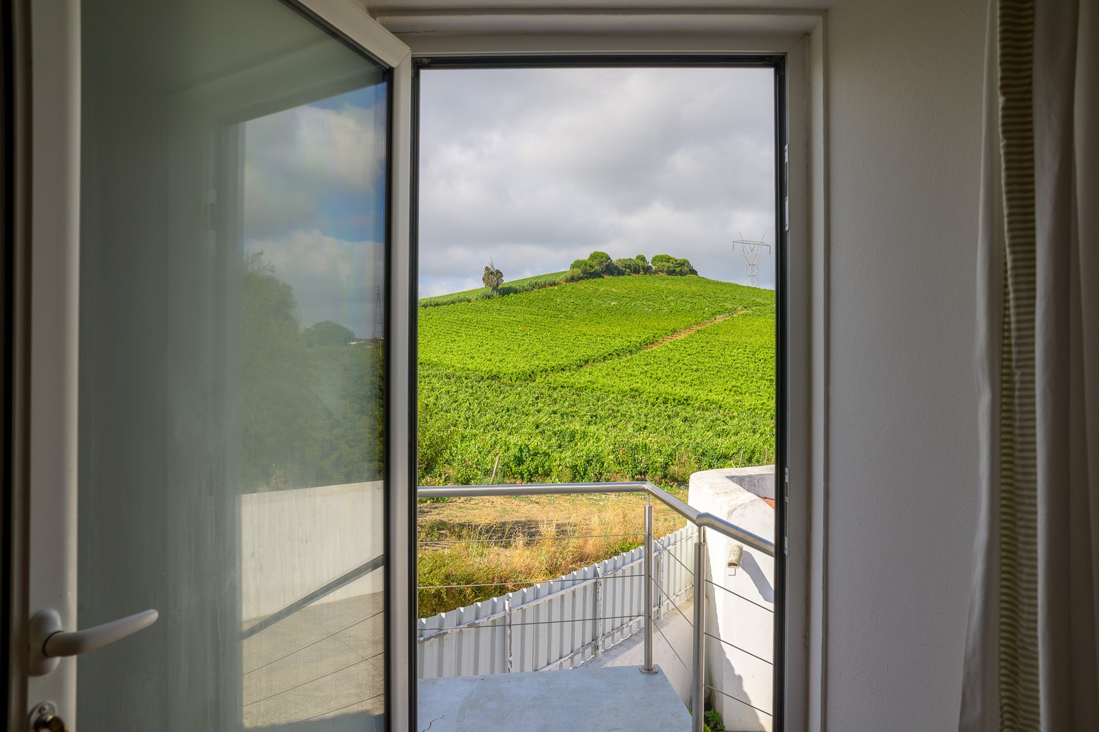 Vineyard view from the door