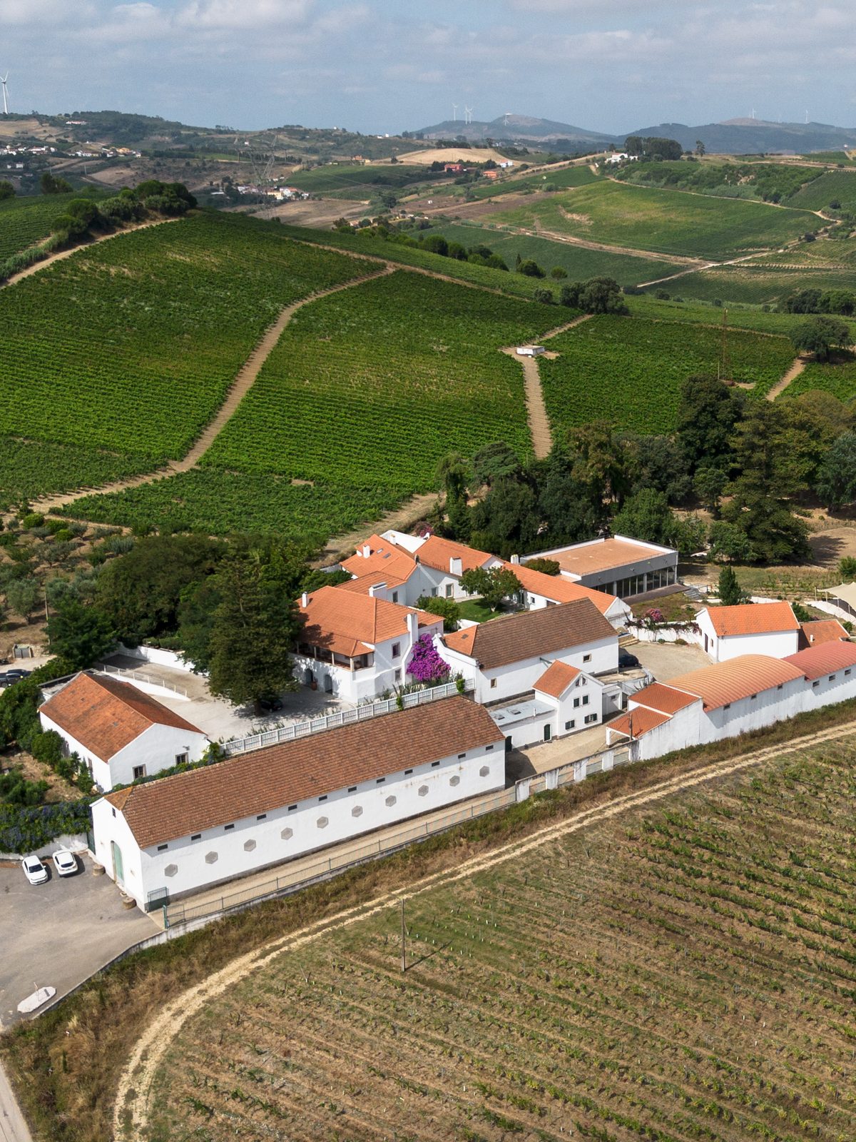 Quinta do Boiro from the air, the manor and cellars ringed by vineyards